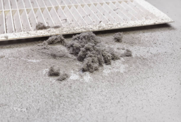 Best Air Duct Mold Removal  in Stallion Springs, CA