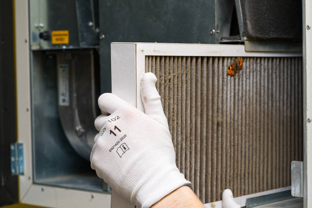 Best Dryer Vent Cleaning Services  in Stallion Springs, CA